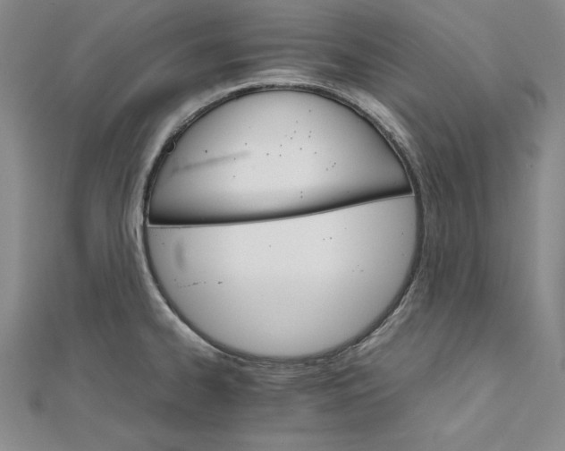 X0000111681334200908071417