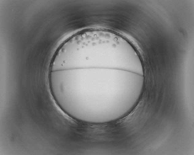 X0000111681335200908071417