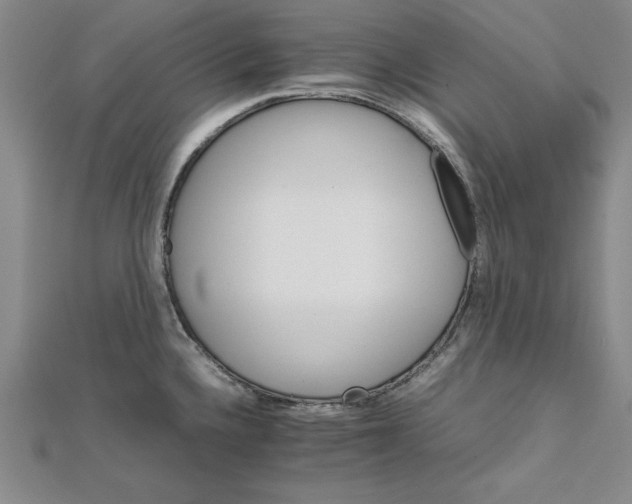 X0000111681336200908071417