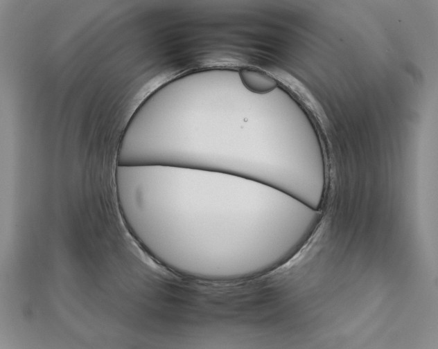 X0000111681337200908071417