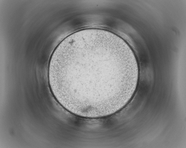 X0000111681338200908071417