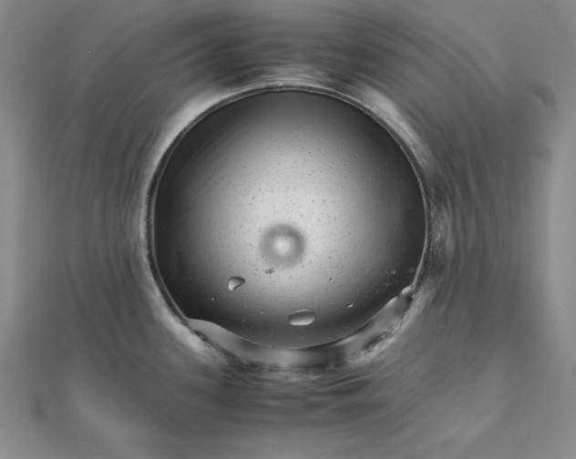 X0000111681339200908071417