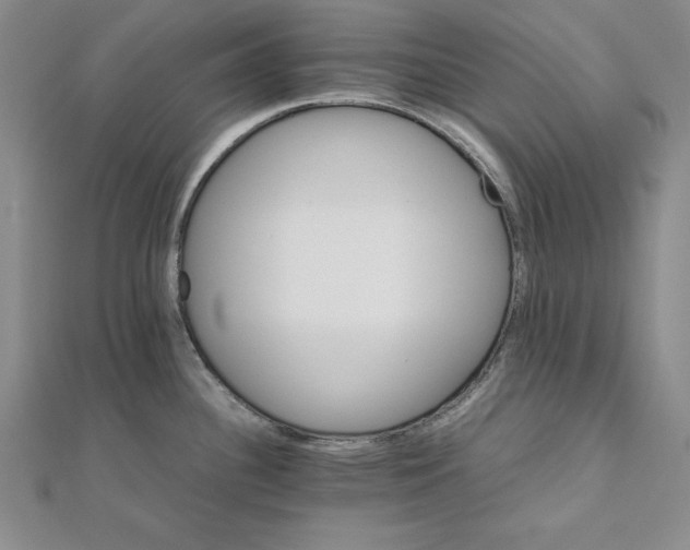 X0000111681340200908071417