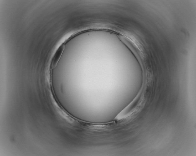 X0000111681342200908071417