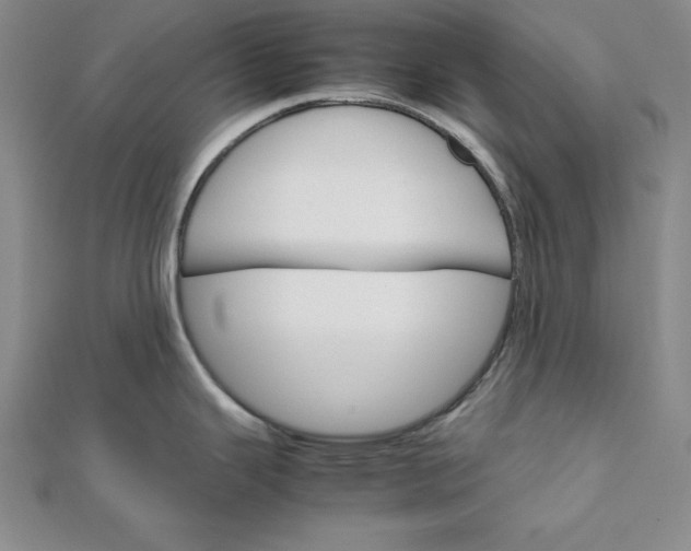 X0000111681343200908071417