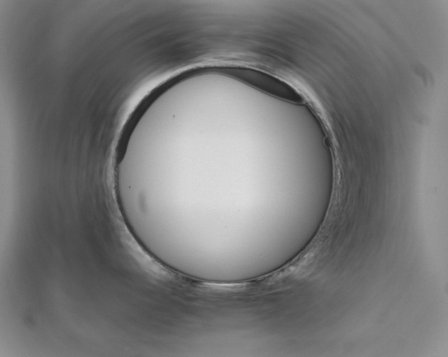 X0000111681344200908071417