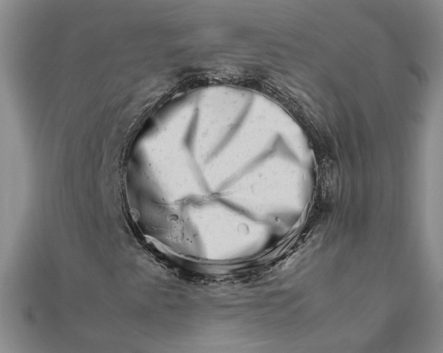 X0000111681345200908071416