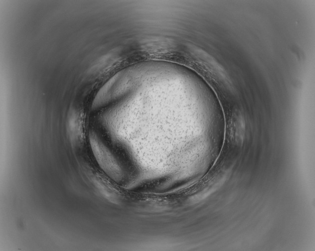 X0000111681346200908071416