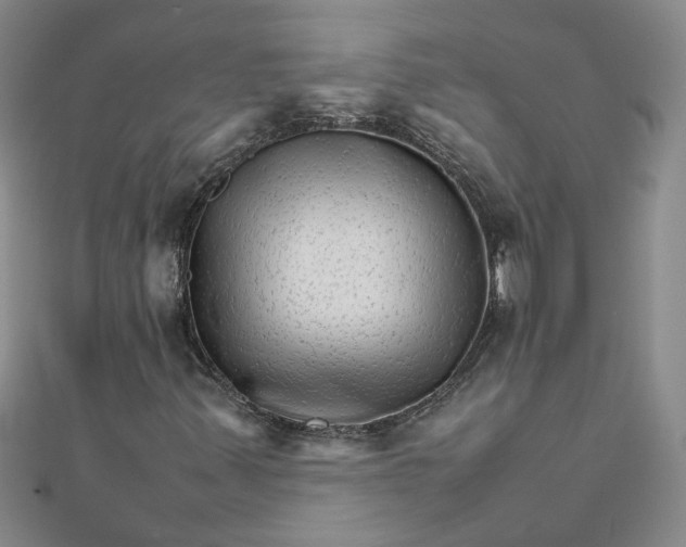 X0000111681347200908071416