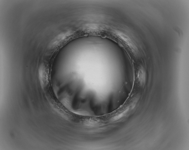 X0000111681348200908071416