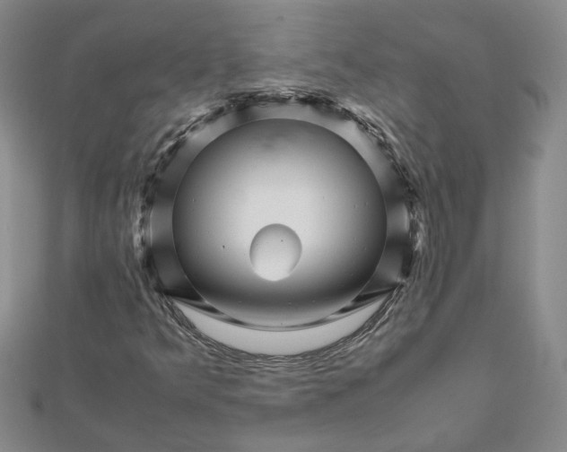 X0000111681349200908071416