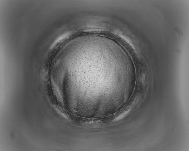 X0000111681351200908071416