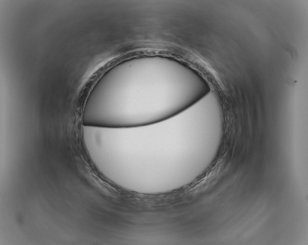 X0000111681352200908071416