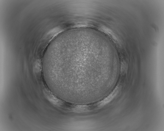 X0000111681353200908071416