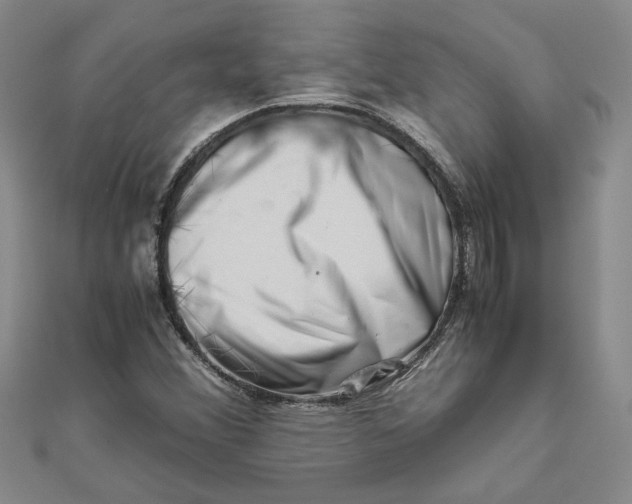 X0000111681356200908071416