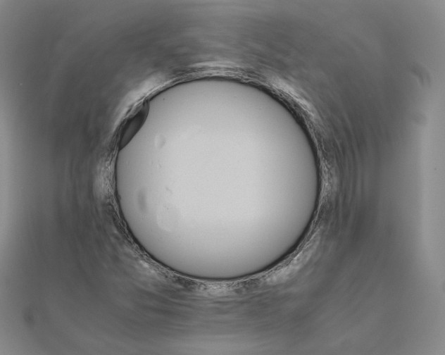 X0000111681357200908071416