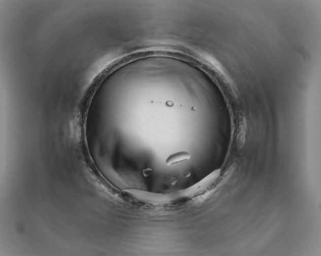 X0000111681360200908071416