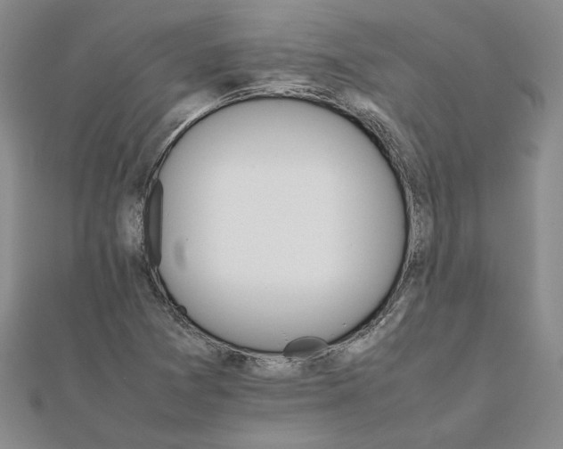 X0000111681361200908071416