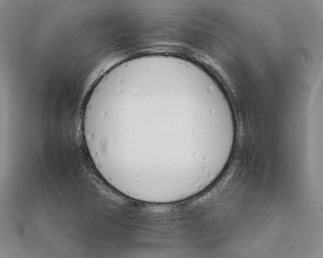 X0000111681362200908071416