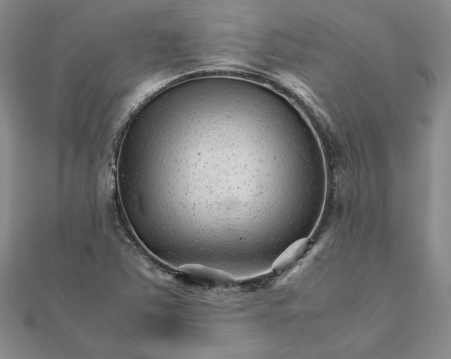 X0000111681363200908071416