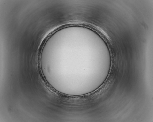 X0000111681364200908071416