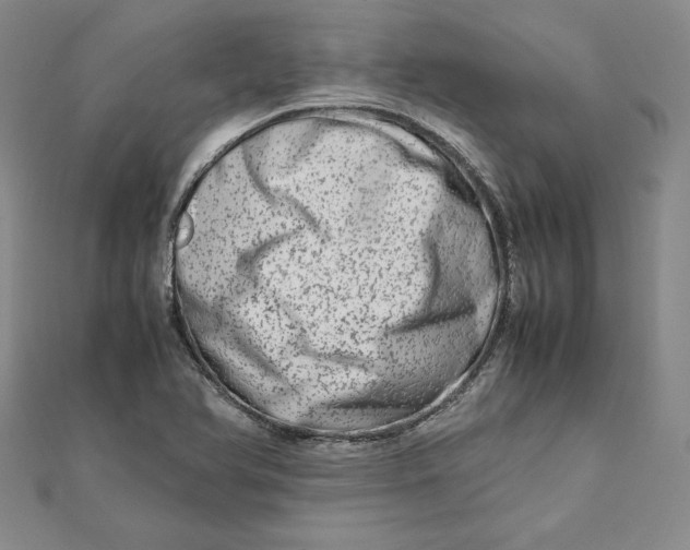 X0000111681366200908071416