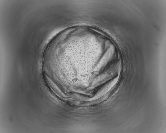 X0000111681367200908071416