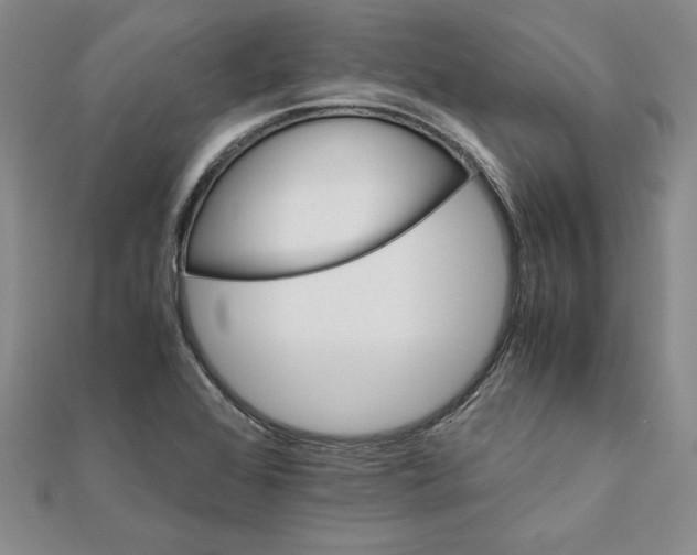 X0000111681368200908071416