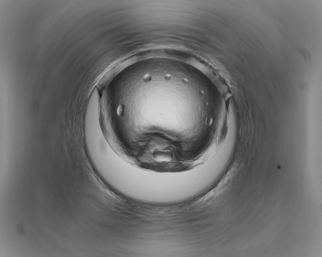 X0000111681369200908071416