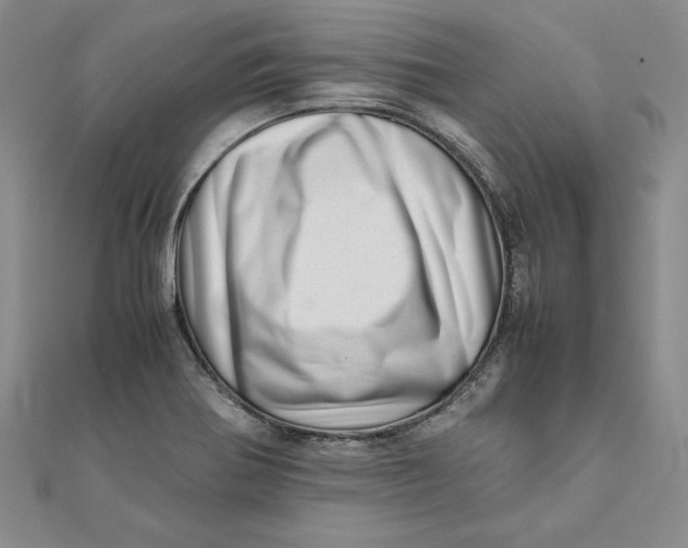 X0000111681370200908071416