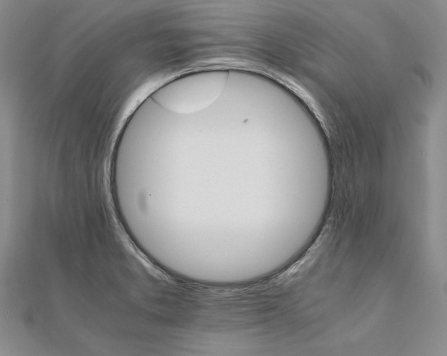 X0000111681373200908071416