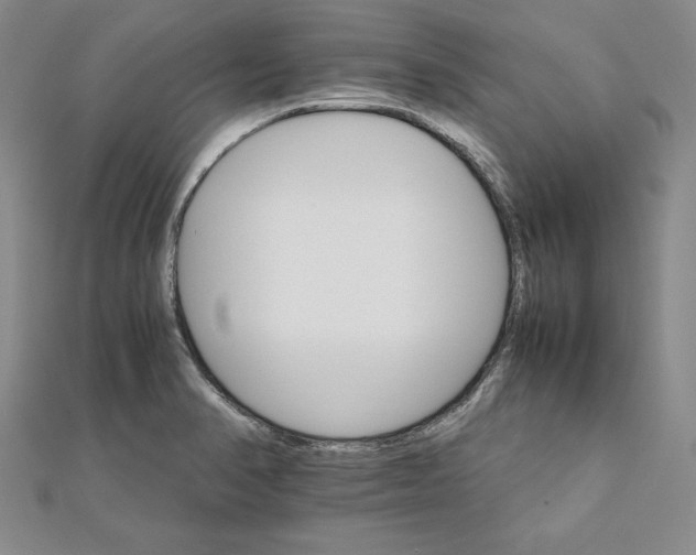 X0000111681374200908071416