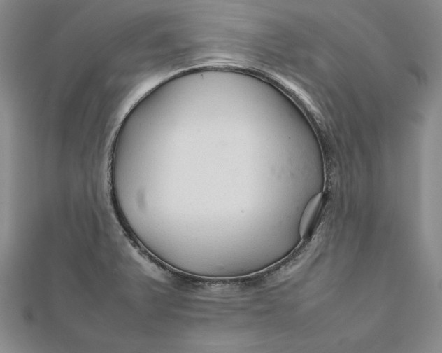 X0000111681375200908071416