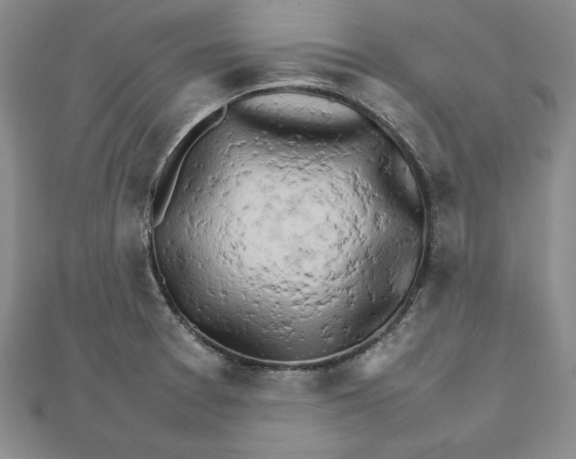 X0000111681377200908071416