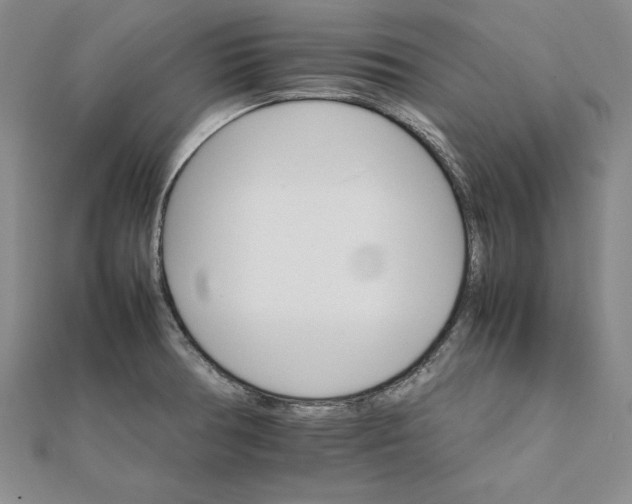 X0000111681378200908071416