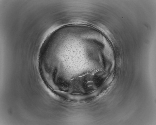 X0000111681379200908071416