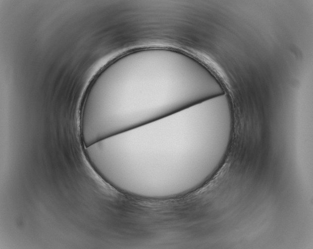 X0000111681380200908071416