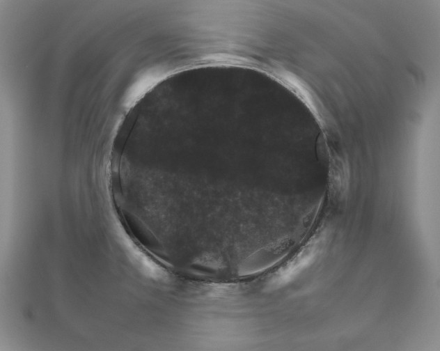 X0000111681381200908071416