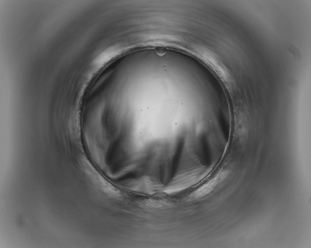 X0000111681384200908071416