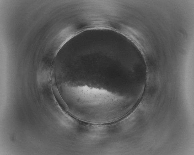 X0000111681385200908071416