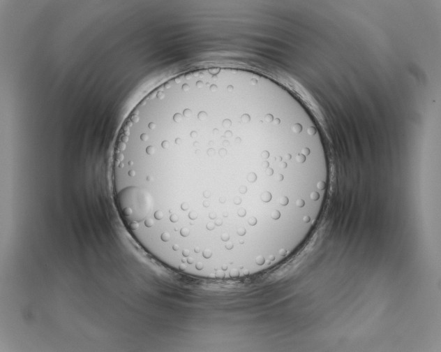 X0000111681386200908071416