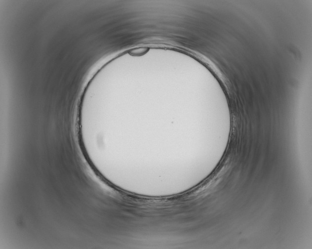 X0000111681387200908071416