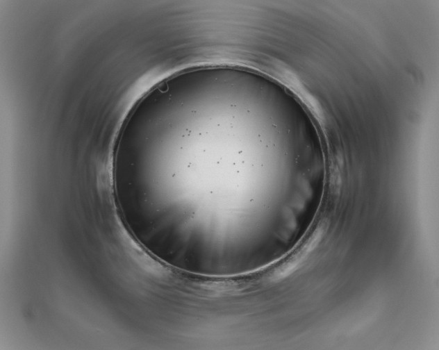 X0000111681388200908071416