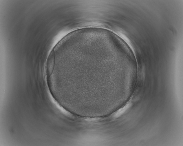 X0000111681389200908071416