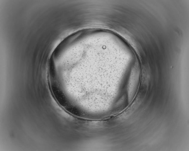 X0000111681390200908071416