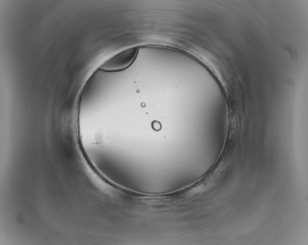 X0000111681391200908071416