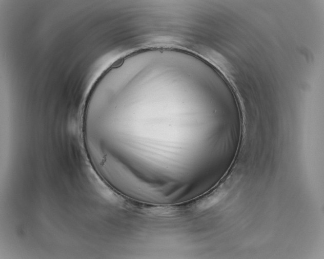 X0000111681392200908071416