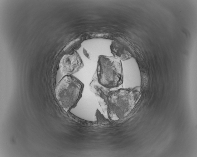 X0000111681393200908071415