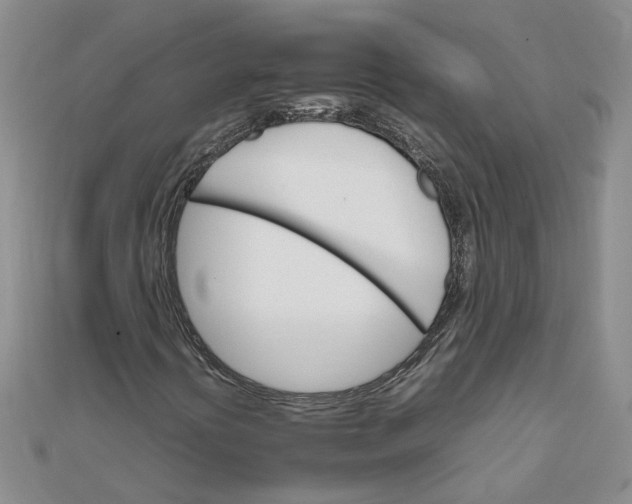 X0000111681394200908071415