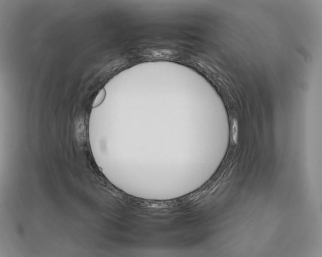 X0000111681395200908071415